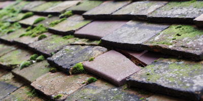 Penmon roof repair costs